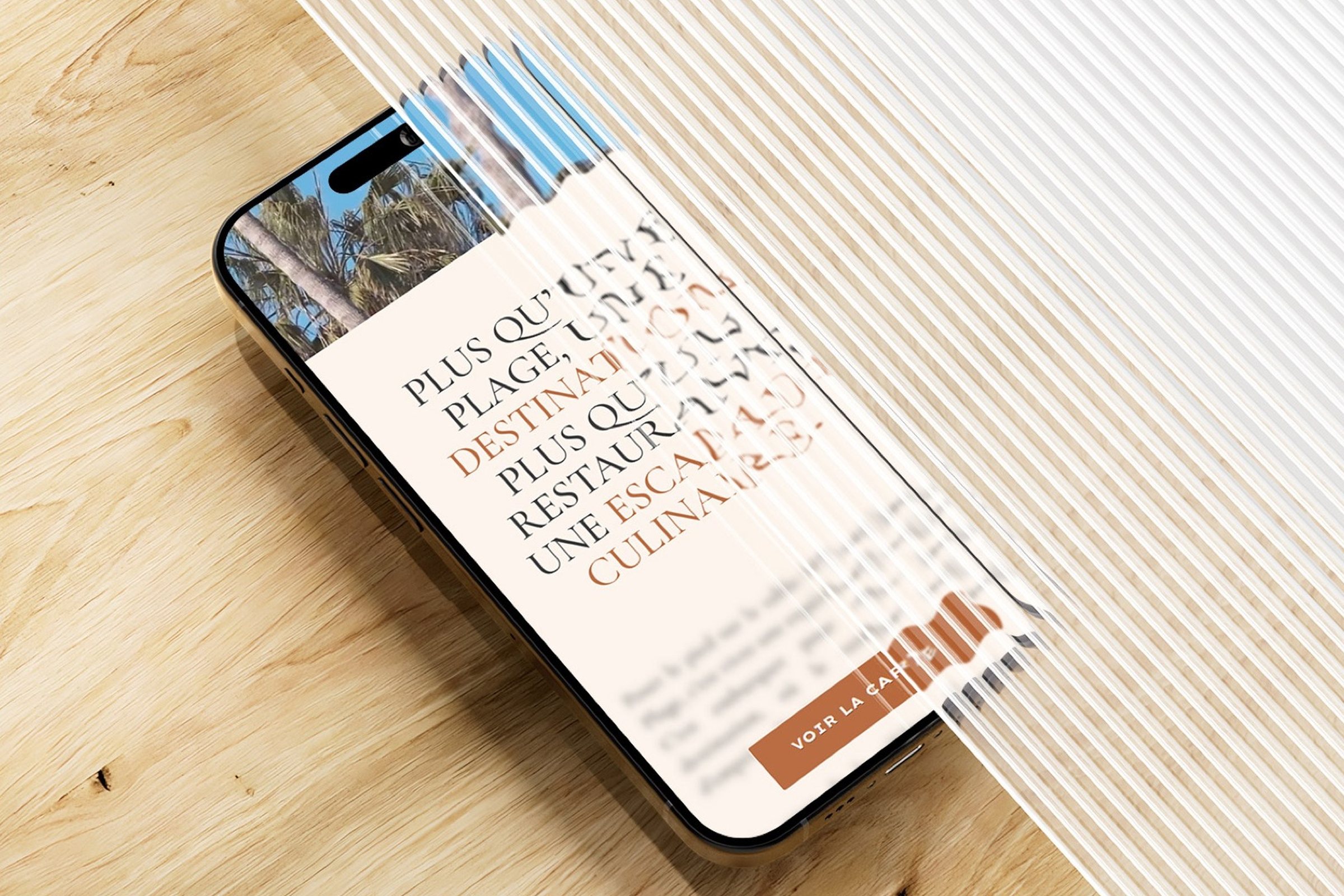 Miramar Plage, Direction artistique, logo, charte, brandbook, site FR/EN